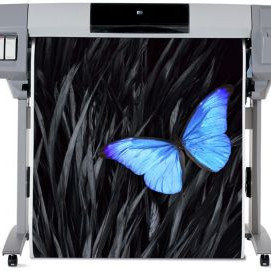 HP DesignJet 5000 DYE-BASED INK