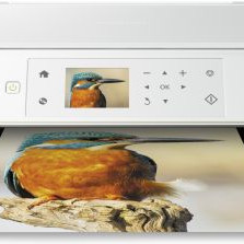 Epson Expression Premium XP-635