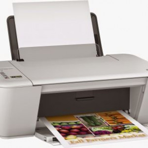 HP DeskJet 2541