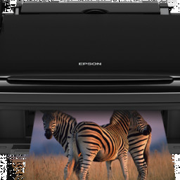 Epson Stylus SX515W