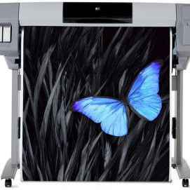 HP DesignJet 5000PS DYE-BASED INK