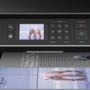 Epson Stylus SX525WD