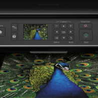 Epson Stylus SX535WD