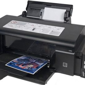 Epson L800