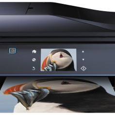 Epson Expression Premium XP-810